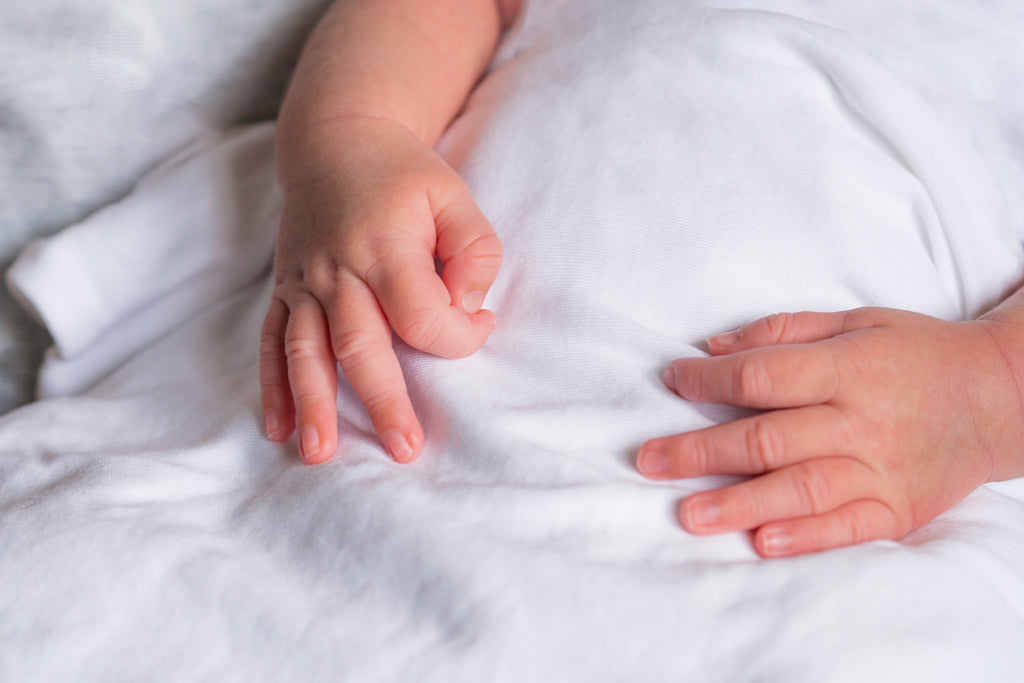 How Baby Sign Language can Support Your Toddler's Development