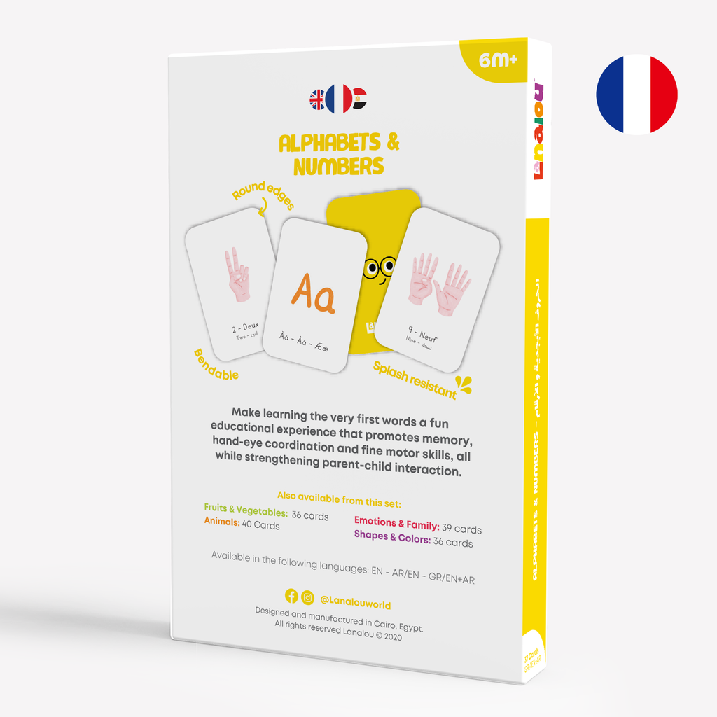 French (AR+EN) | Alphabets & Numbers